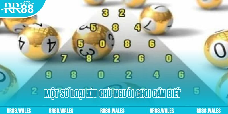 Một số loại xỉu chủ người chơi cần biết