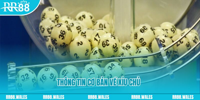 Những thông tin cơ bản về xỉu chủ là gì bạn cần nắm được